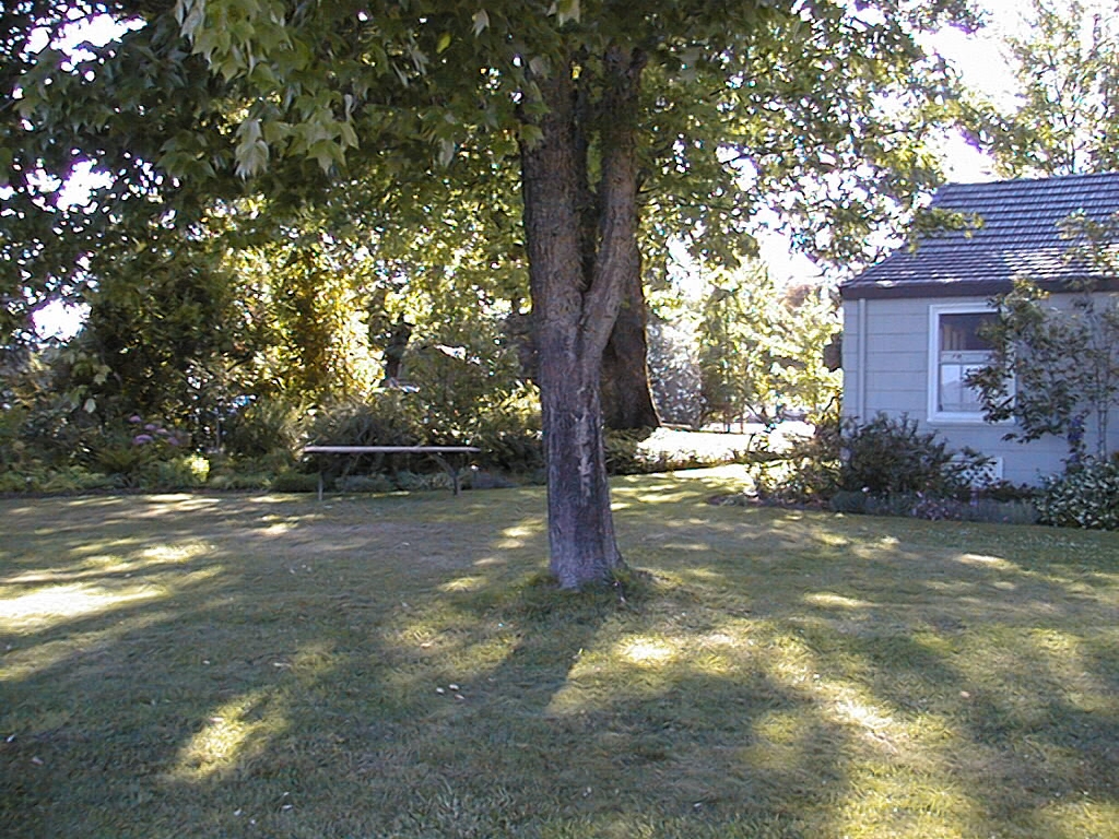 Click to return to the thumbnail index